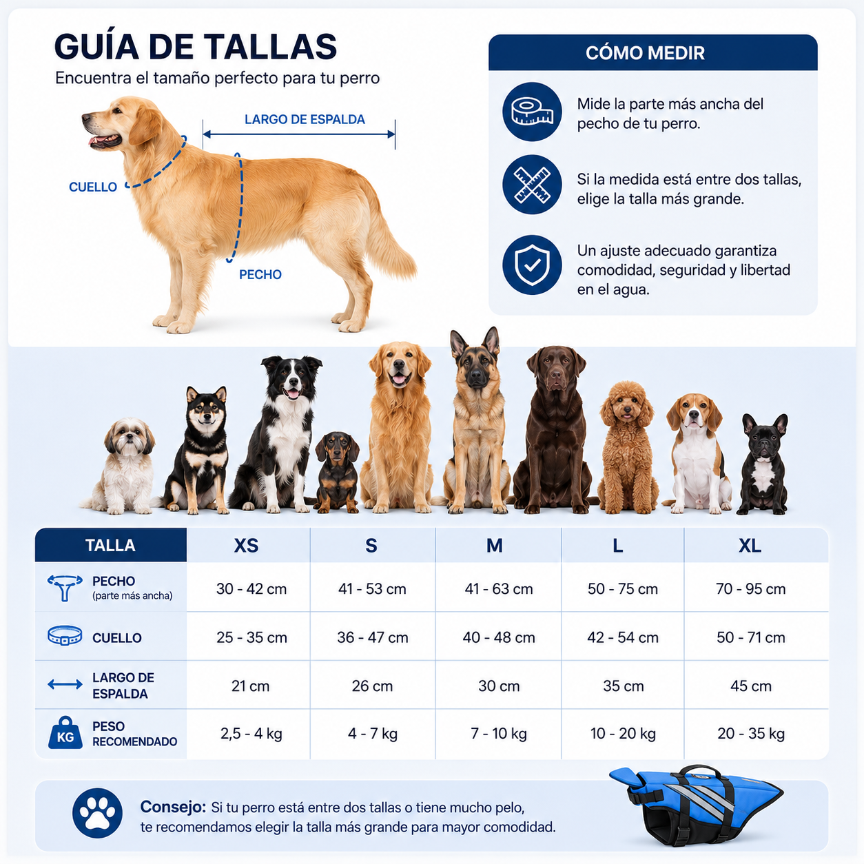 FlotaPaw™ | Protege tu mascota